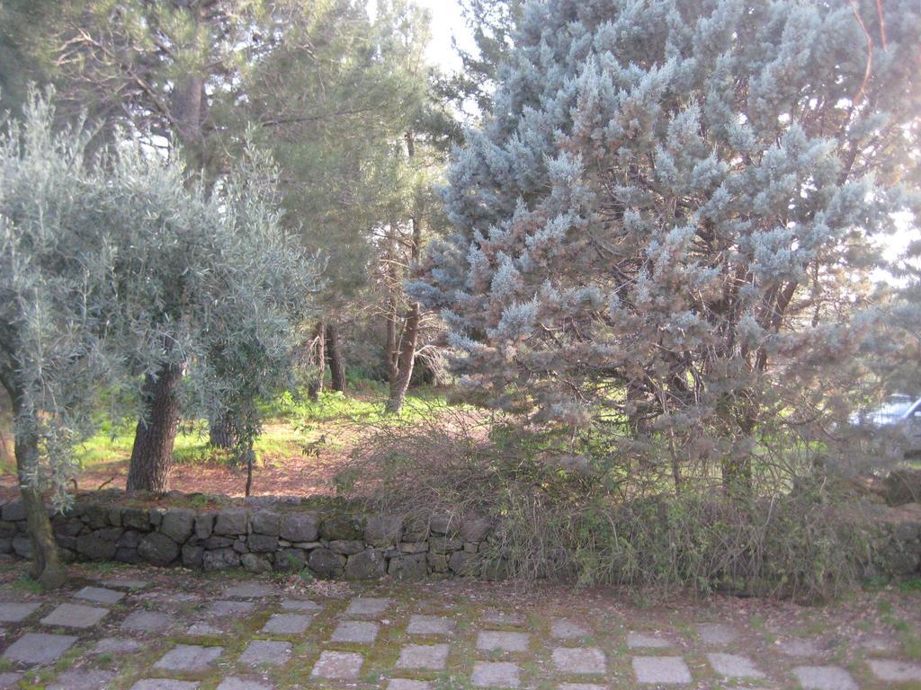 Villa La Casa Del Cavaliere Santa Maria di Licodia Zimmer foto