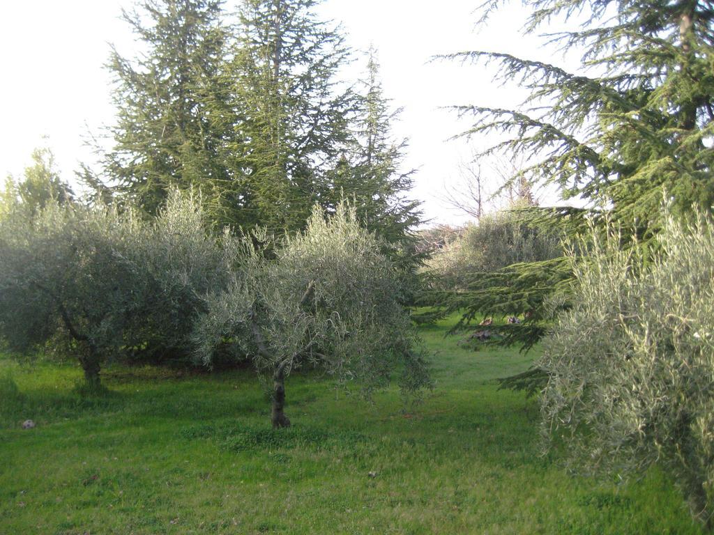 Villa La Casa Del Cavaliere Santa Maria di Licodia Zimmer foto